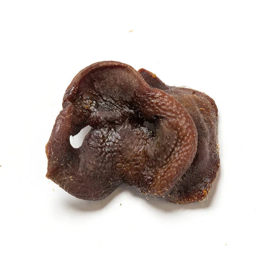 Natural dried pig snout dog treat on white background, House Of PDB healthy pet snack