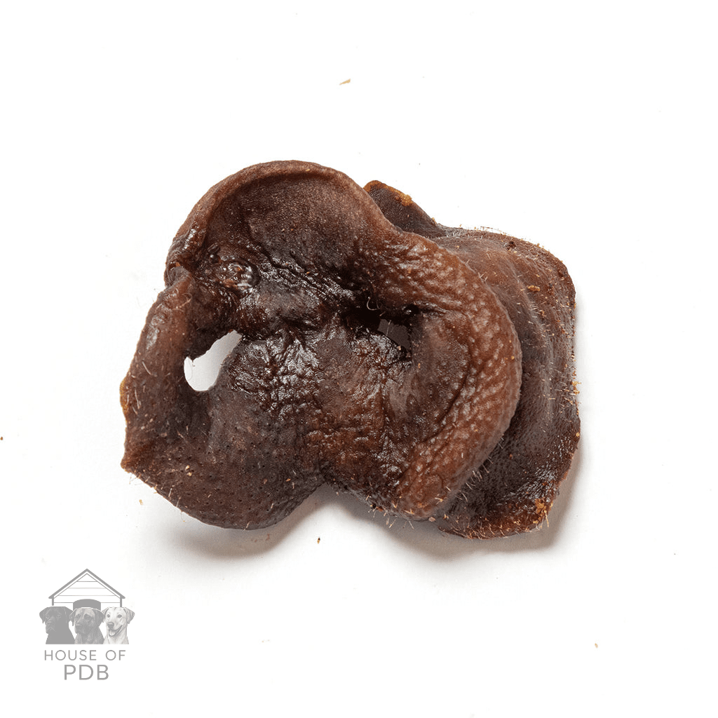 Pig Snouts - House Of PDB