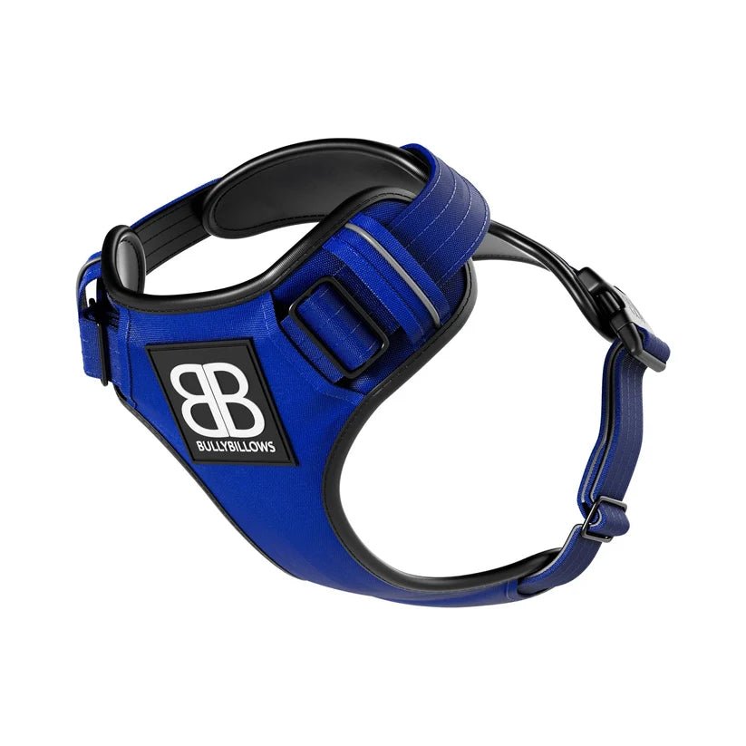 BullyBillows Premium Comfort Dog Harness – Adjustable, Reflective, Breathable - House Of PDB