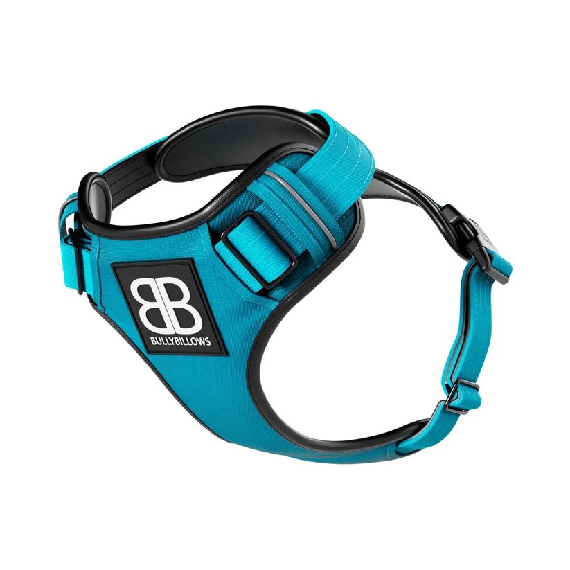 BullyBillows Premium Comfort Dog Harness – Adjustable, Reflective, Breathable - House Of PDB