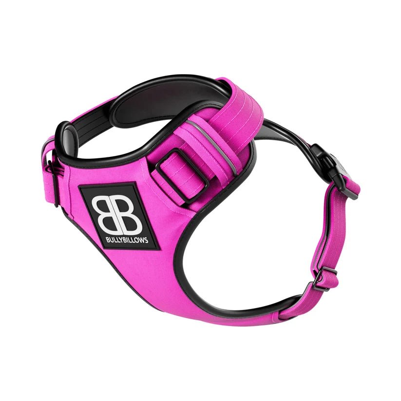 BullyBillows Premium Comfort Dog Harness – Adjustable, Reflective, Breathable - House Of PDB