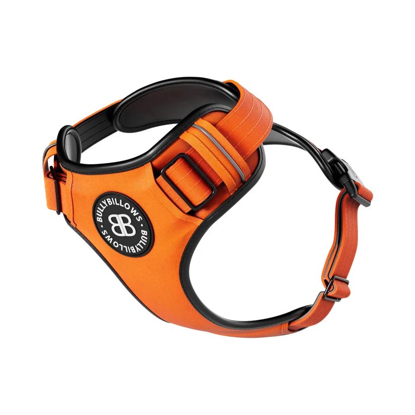 BullyBillows Premium Comfort Dog Harness – Adjustable, Reflective, Breathable - House Of PDB