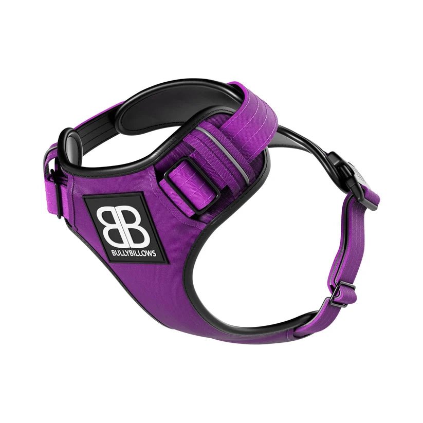 BullyBillows Premium Comfort Dog Harness – Adjustable, Reflective, Breathable - House Of PDB