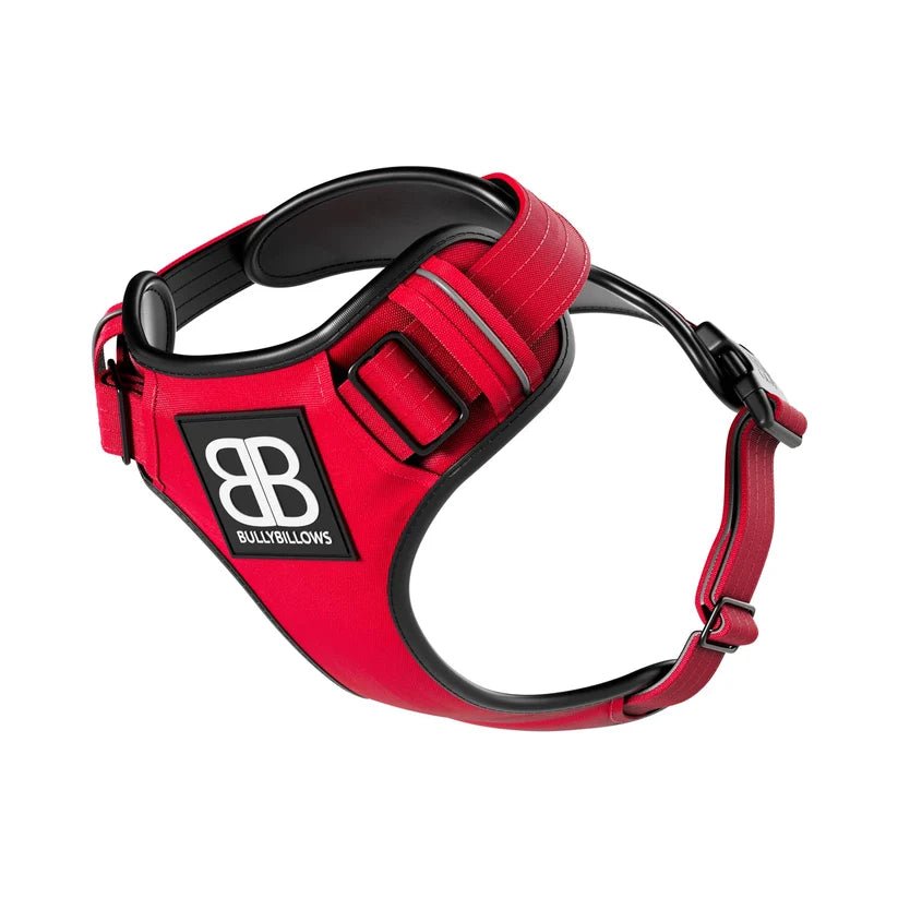 BullyBillows Premium Comfort Dog Harness – Adjustable, Reflective, Breathable - House Of PDB