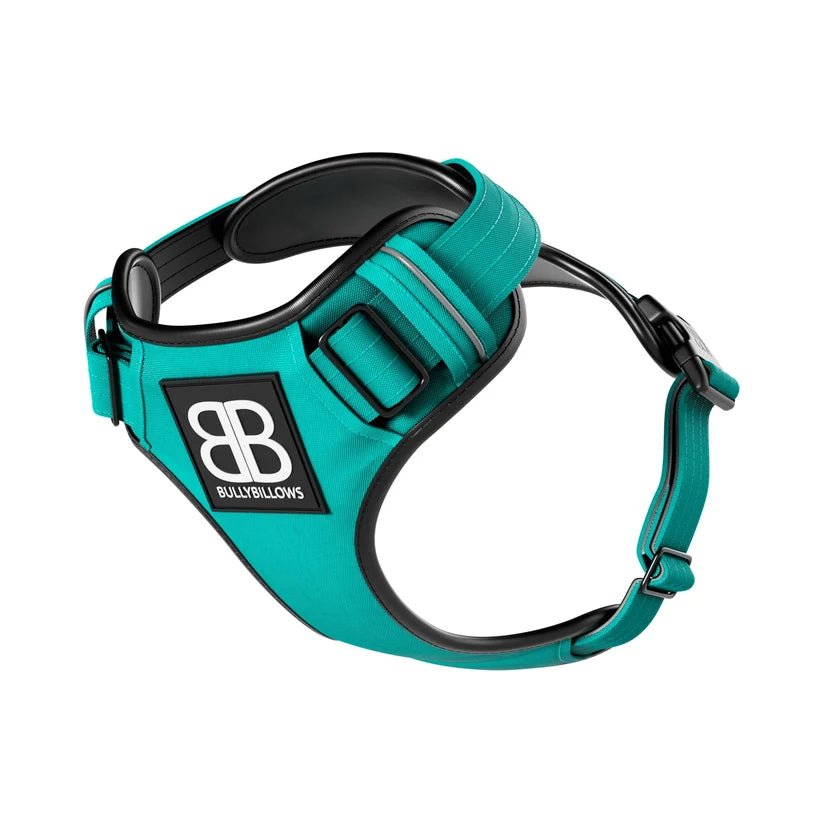 BullyBillows Premium Comfort Dog Harness – Adjustable, Reflective, Breathable - House Of PDB