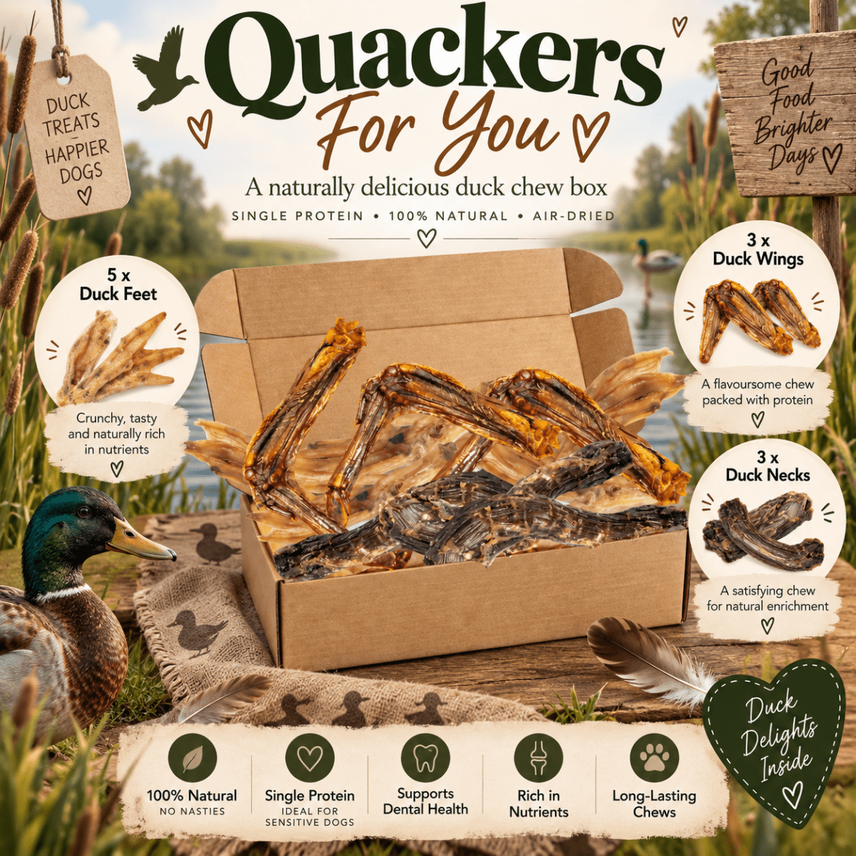 Quackers For You Duck Variety Box - House Of PDB