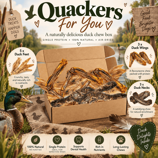 Quackers For You Duck Variety Box - House Of PDB