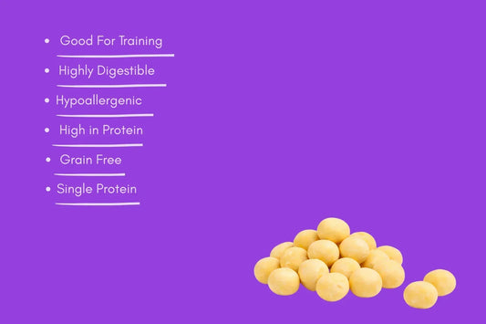 Quail yolk dog treats on purple background with benefits like high protein, hypoallergenic, grain free.