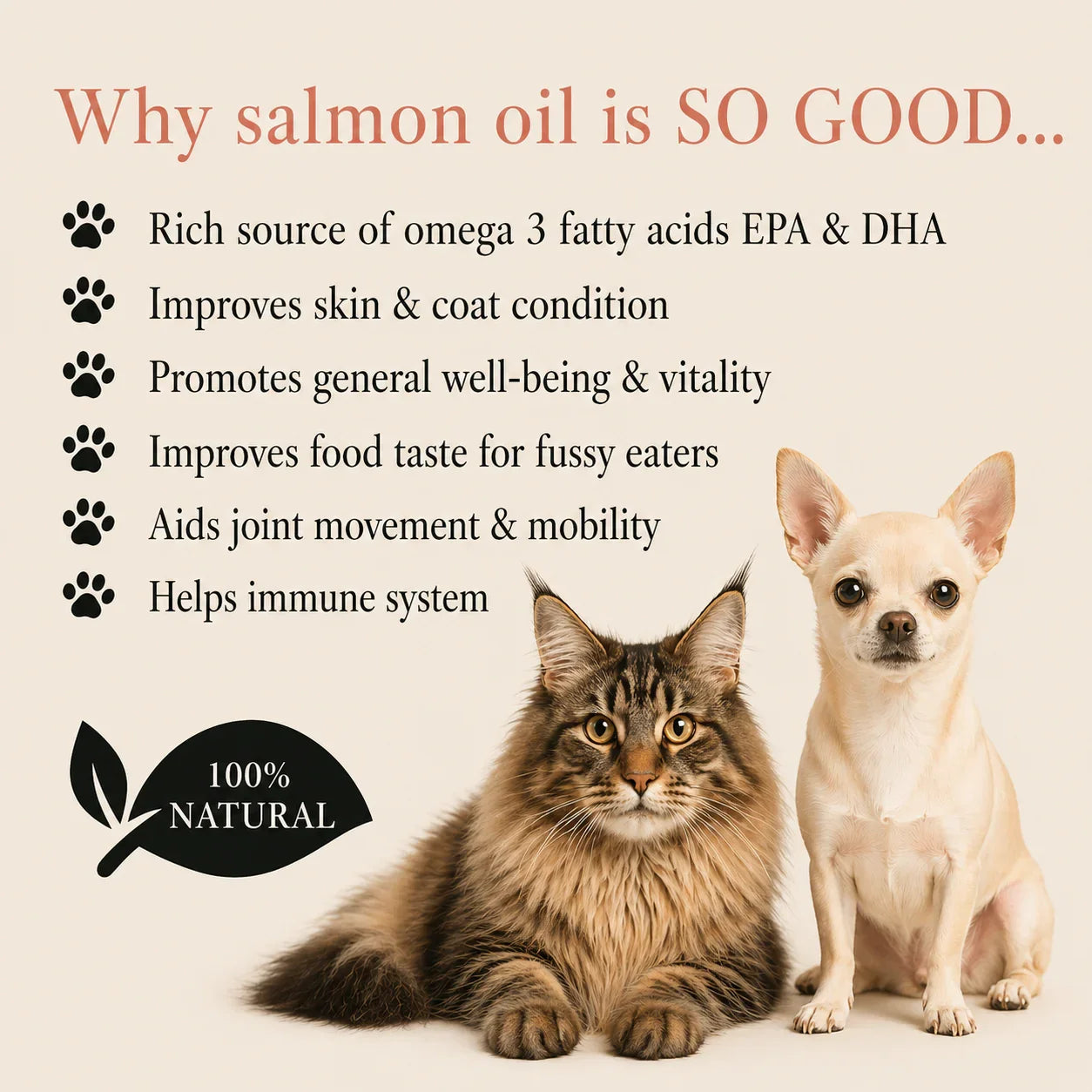 Bugalugs Scottish Salmon Oil 500ml - House Of PDB