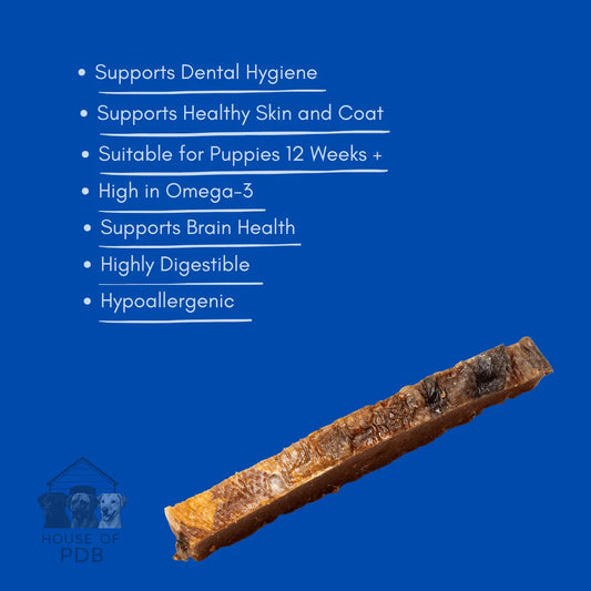 Single salmon skin strip dog treat on blue background with text highlighting dental hygiene, omega-3, and skin health benefits