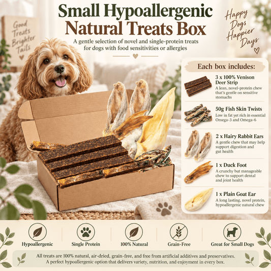 Natural Variety Box Small Hypoallergenic - House Of PDB