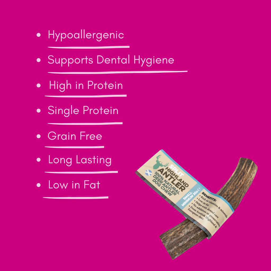 Small split antler dog chew treat with label on a pink background and feature of key benefits list.