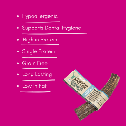 Small split antler dog chew treat with label on a pink background and feature of key benefits list.
