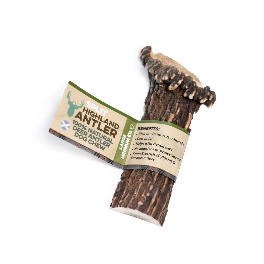 Natural Split antler large dog chew with a label on a white background