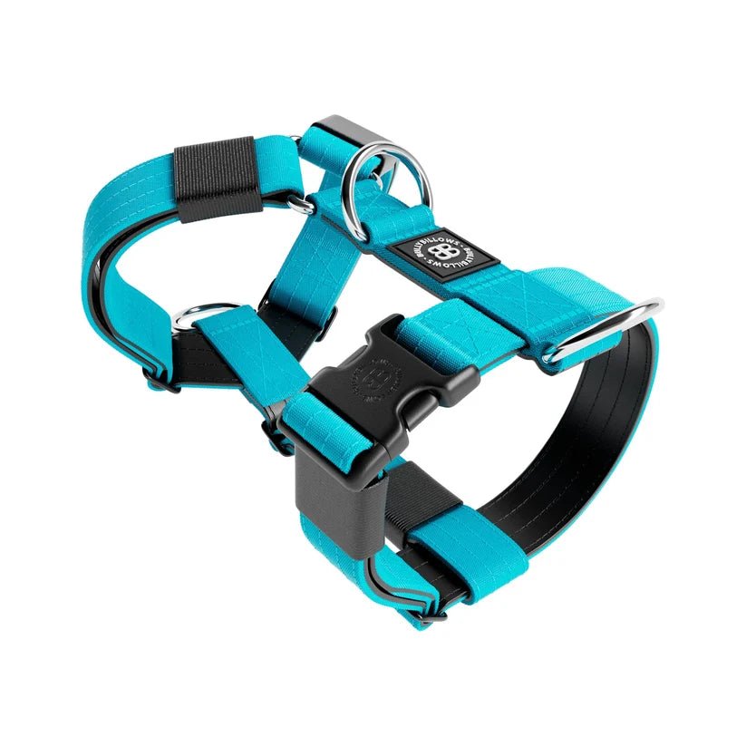 BullyBillows TRI-Harness® – Anti-Pull Y-Shaped Dog Harness - House Of PDB