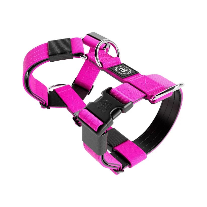 BullyBillows TRI-Harness® – Anti-Pull Y-Shaped Dog Harness - House Of PDB