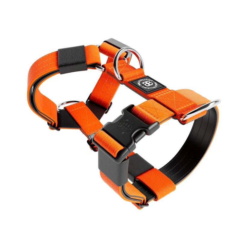 BullyBillows TRI-Harness® – Anti-Pull Y-Shaped Dog Harness - House Of PDB
