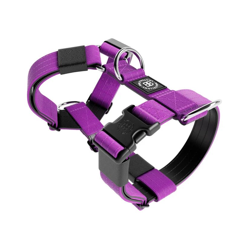 BullyBillows TRI-Harness® – Anti-Pull Y-Shaped Dog Harness - House Of PDB