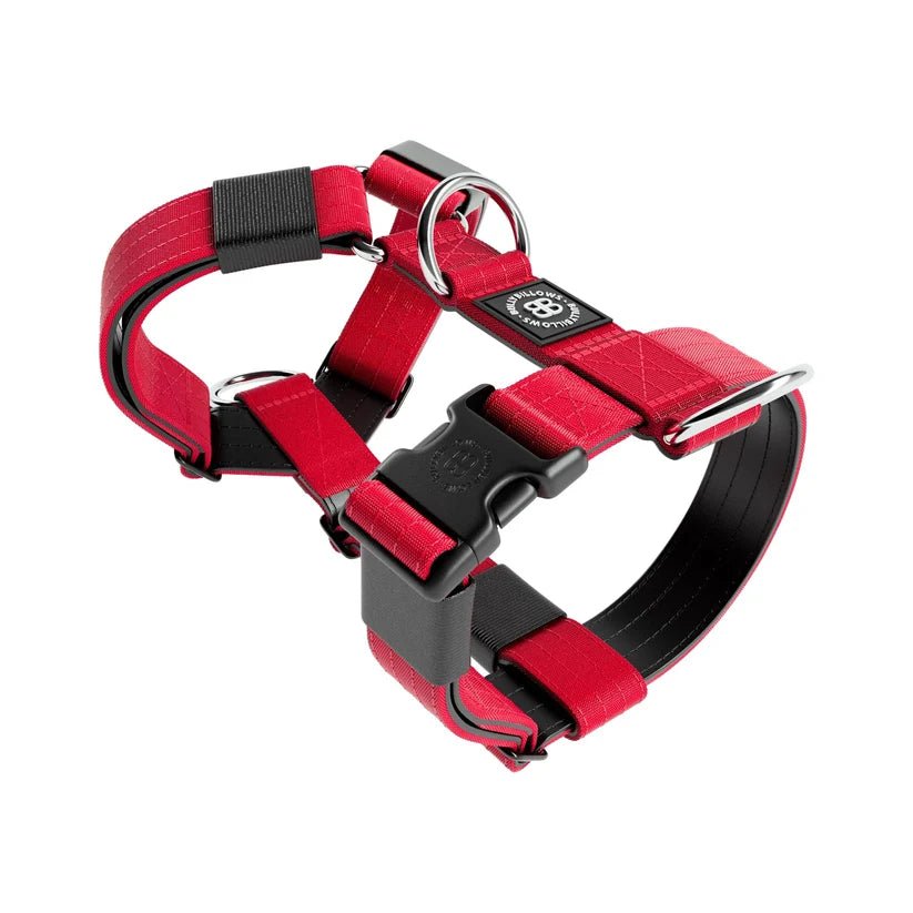 BullyBillows TRI-Harness® – Anti-Pull Y-Shaped Dog Harness - House Of PDB
