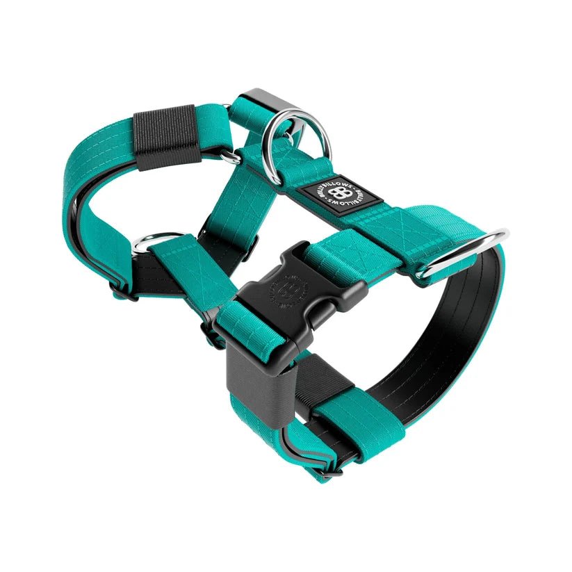 BullyBillows TRI-Harness® – Anti-Pull Y-Shaped Dog Harness - House Of PDB
