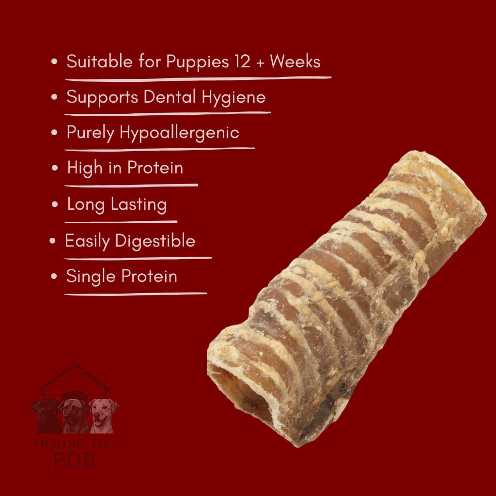 Hypoallergenic dog chew trachea for puppies, high protein, supports dental hygiene, easily digestible