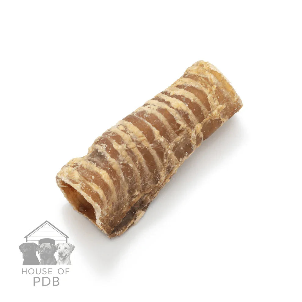 Dried natural trachea dog chew treat isolated on white background