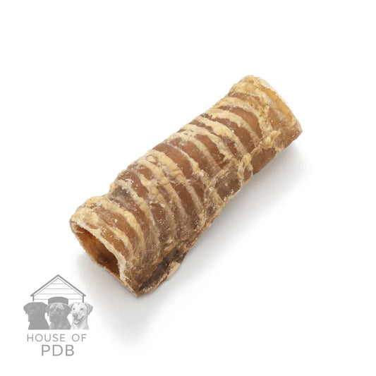 Dried natural trachea dog chew treat isolated on white background