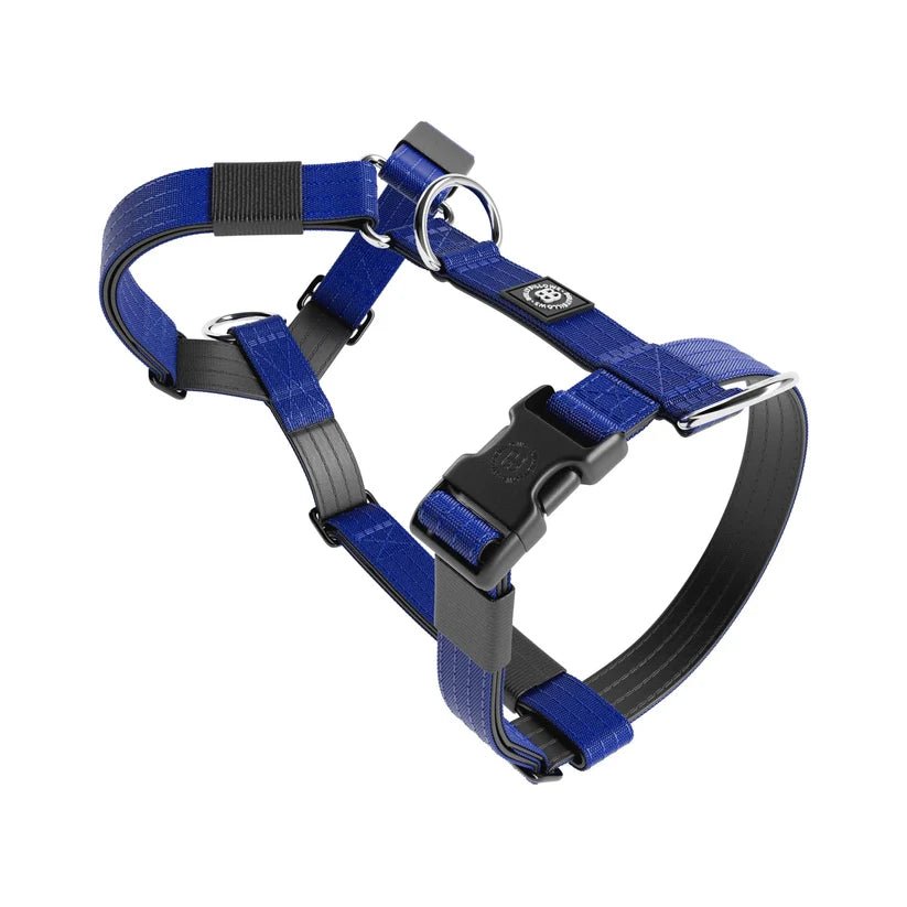 BullyBillows TRI-Harness® – Anti-Pull Y-Shaped Dog Harness - House Of PDB