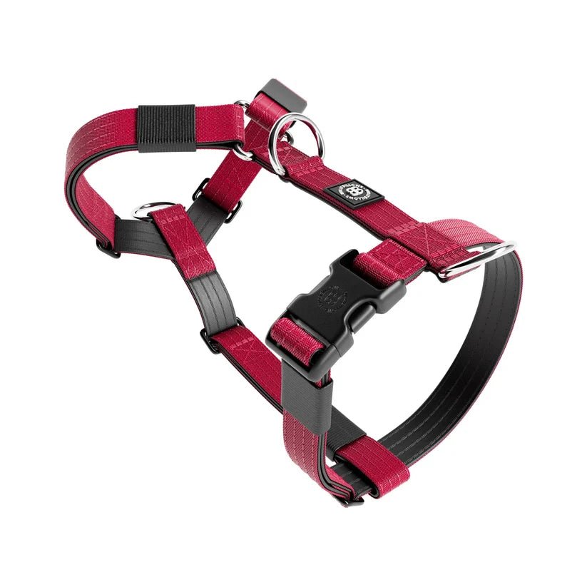 BullyBillows TRI-Harness® – Anti-Pull Y-Shaped Dog Harness - House Of PDB