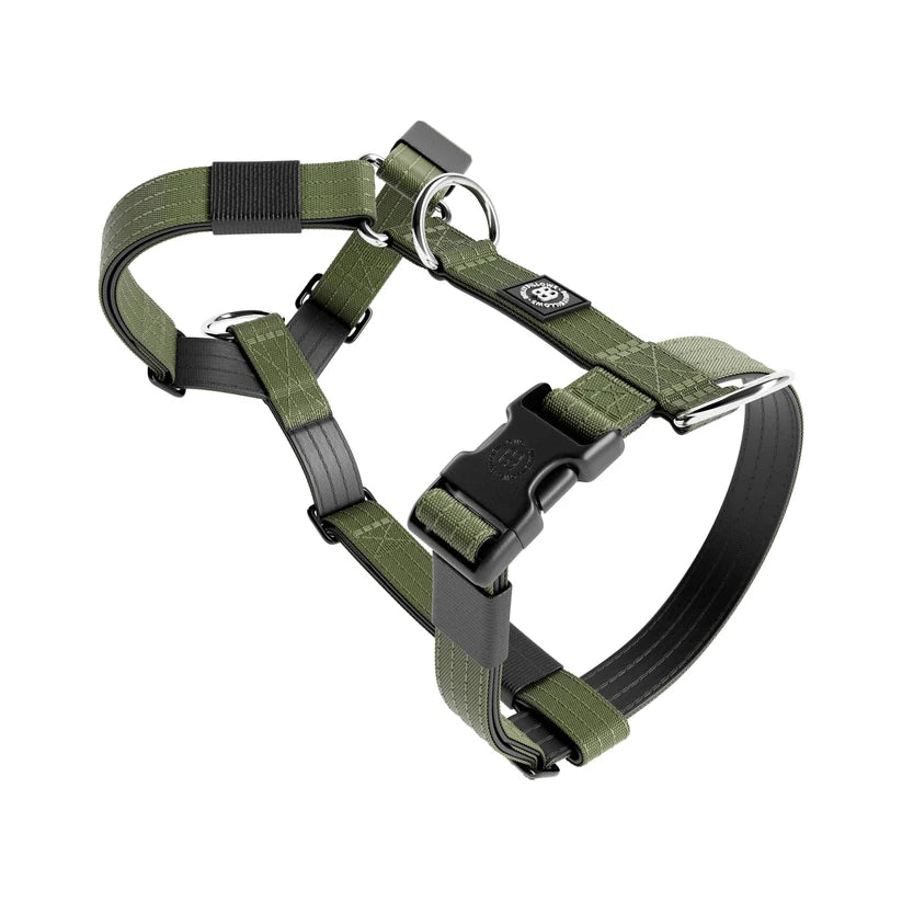 BullyBillows TRI-Harness® – Anti-Pull Y-Shaped Dog Harness - House Of PDB