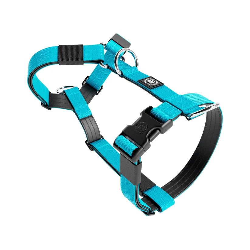 BullyBillows TRI-Harness® – Anti-Pull Y-Shaped Dog Harness - House Of PDB