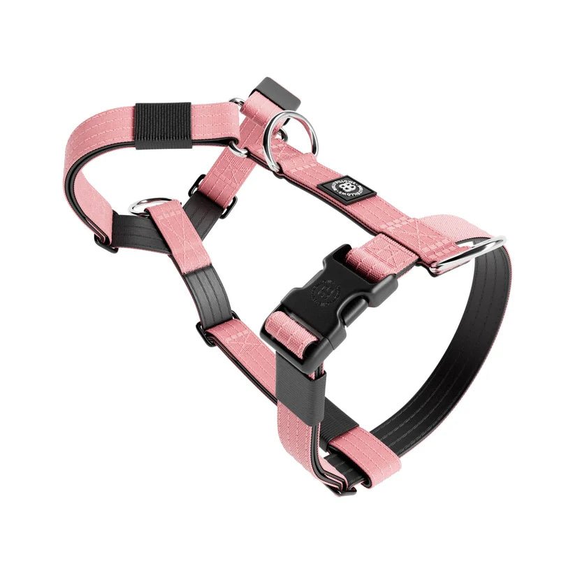 BullyBillows TRI-Harness® – Anti-Pull Y-Shaped Dog Harness - House Of PDB