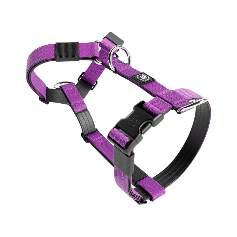 BullyBillows TRI-Harness® – Anti-Pull Y-Shaped Dog Harness - House Of PDB