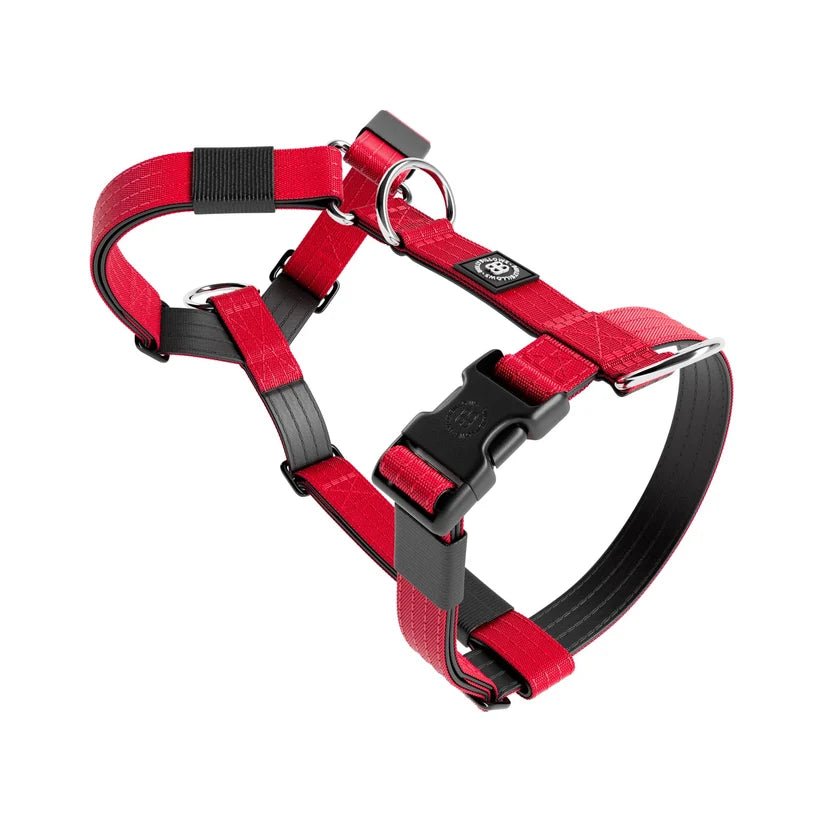 BullyBillows TRI-Harness® – Anti-Pull Y-Shaped Dog Harness - House Of PDB