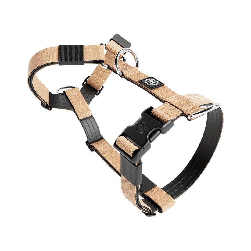 BullyBillows TRI-Harness® – Anti-Pull Y-Shaped Dog Harness - House Of PDB