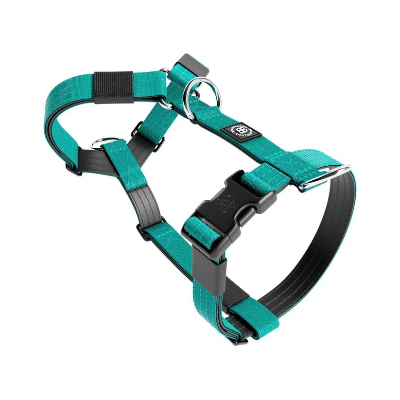 BullyBillows TRI-Harness® – Anti-Pull Y-Shaped Dog Harness - House Of PDB