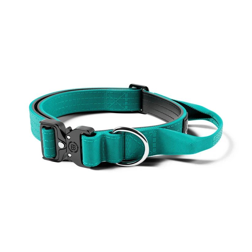 2.5cm Combat® Collar | With Handle & Rated Clip - House Of PDB