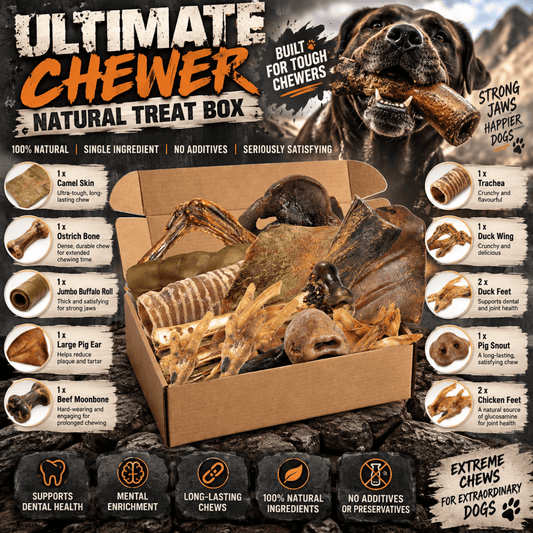 Natural Variety Box Ultimate Chewer - House Of PDB