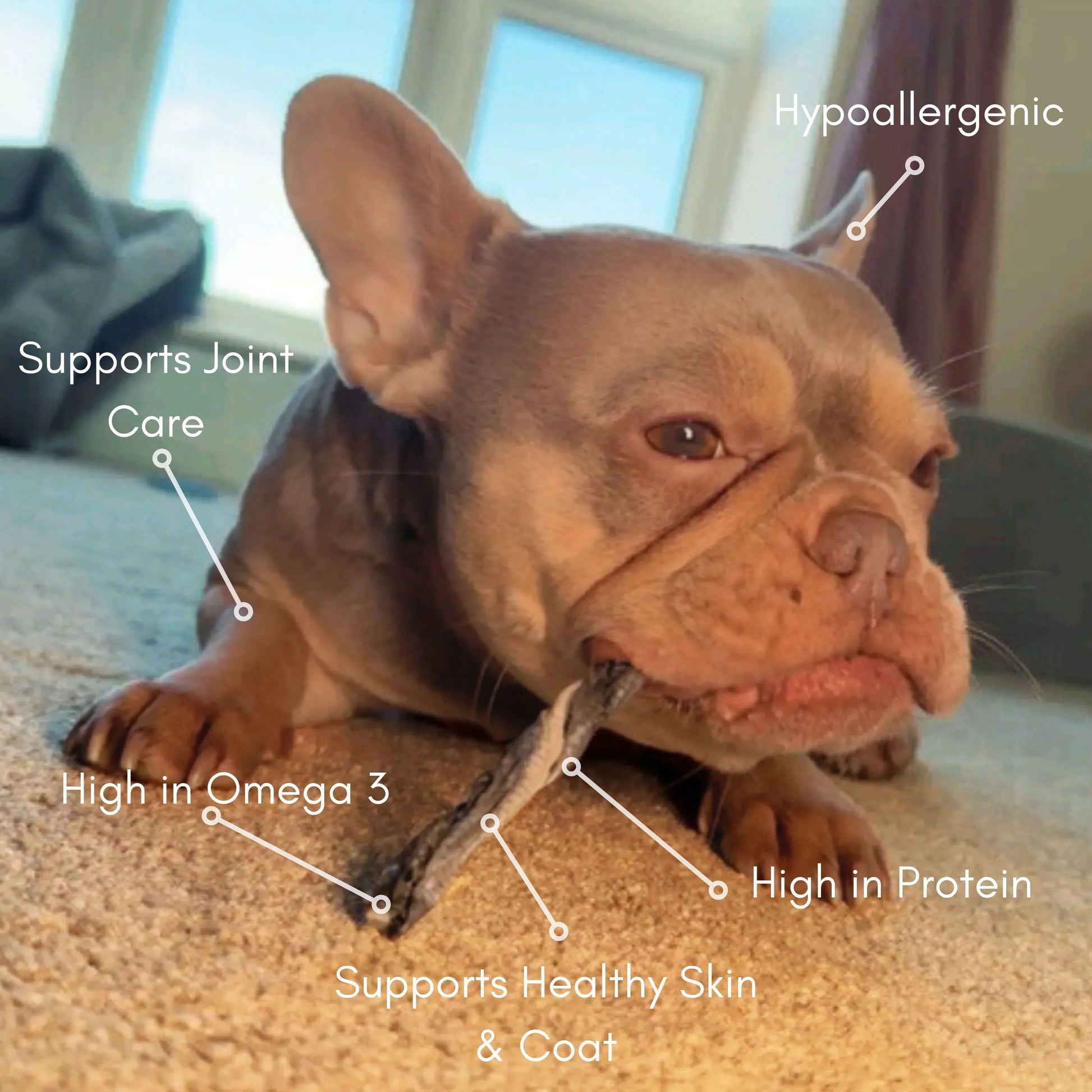 Fish Skin Twists - House Of PDB