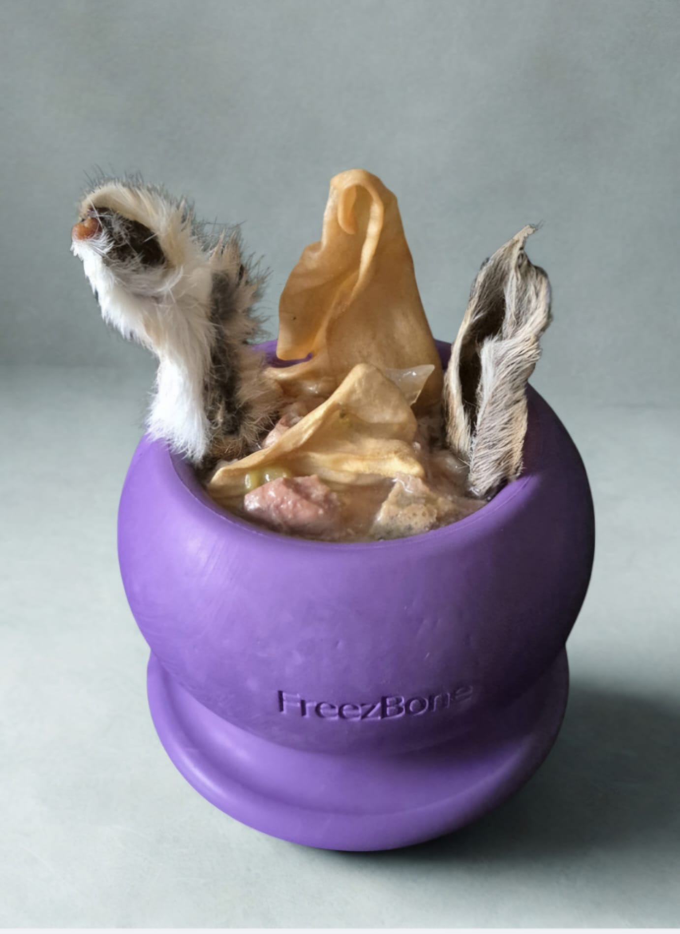 Purple pet toy with feathers and a ball inside on a gray background