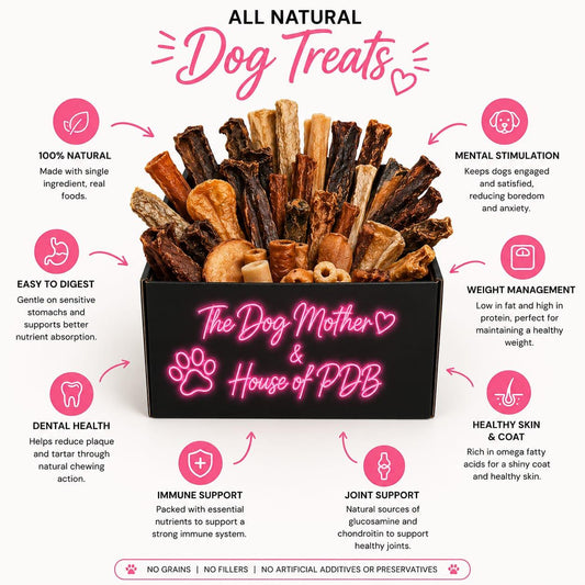 Box of dog treats with promotional text about benefits on a white background