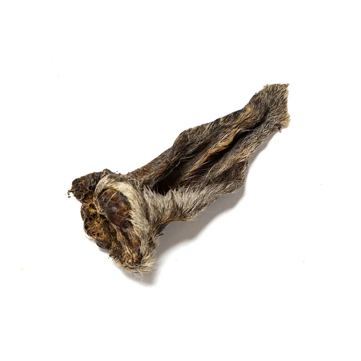 Hairy Lamb Ears - HOUSE OF PDB