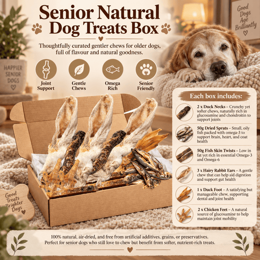 Natural Variety Box Senior - House Of PDB