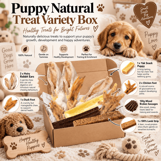 Natural Variety Box Puppy - House Of PDB